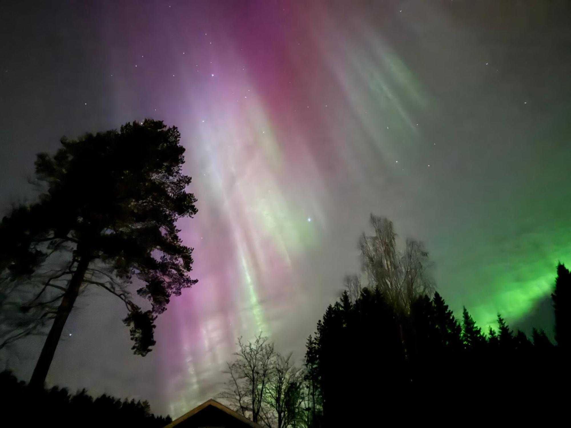 Ett Hus Med 3 Sovrum Med Supersnabba Internet Fiberanslutningen 1000Mb-100Mb I Hoeg, 7 Minuter Fran ฮูดิกสวัลล์ ภายนอก รูปภาพ