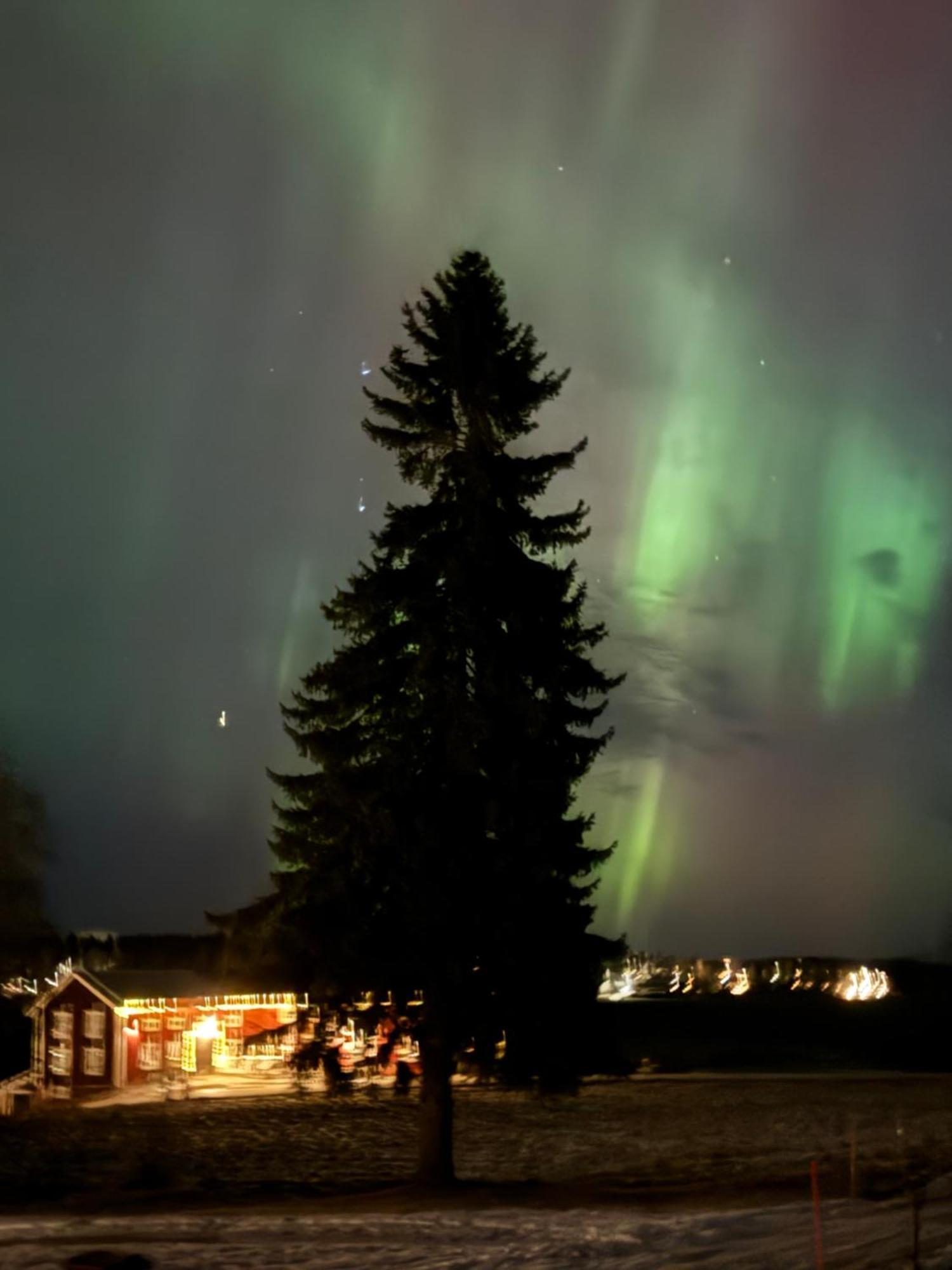 Ett Hus Med 3 Sovrum Med Supersnabba Internet Fiberanslutningen 1000Mb-100Mb I Hoeg, 7 Minuter Fran ฮูดิกสวัลล์ ภายนอก รูปภาพ