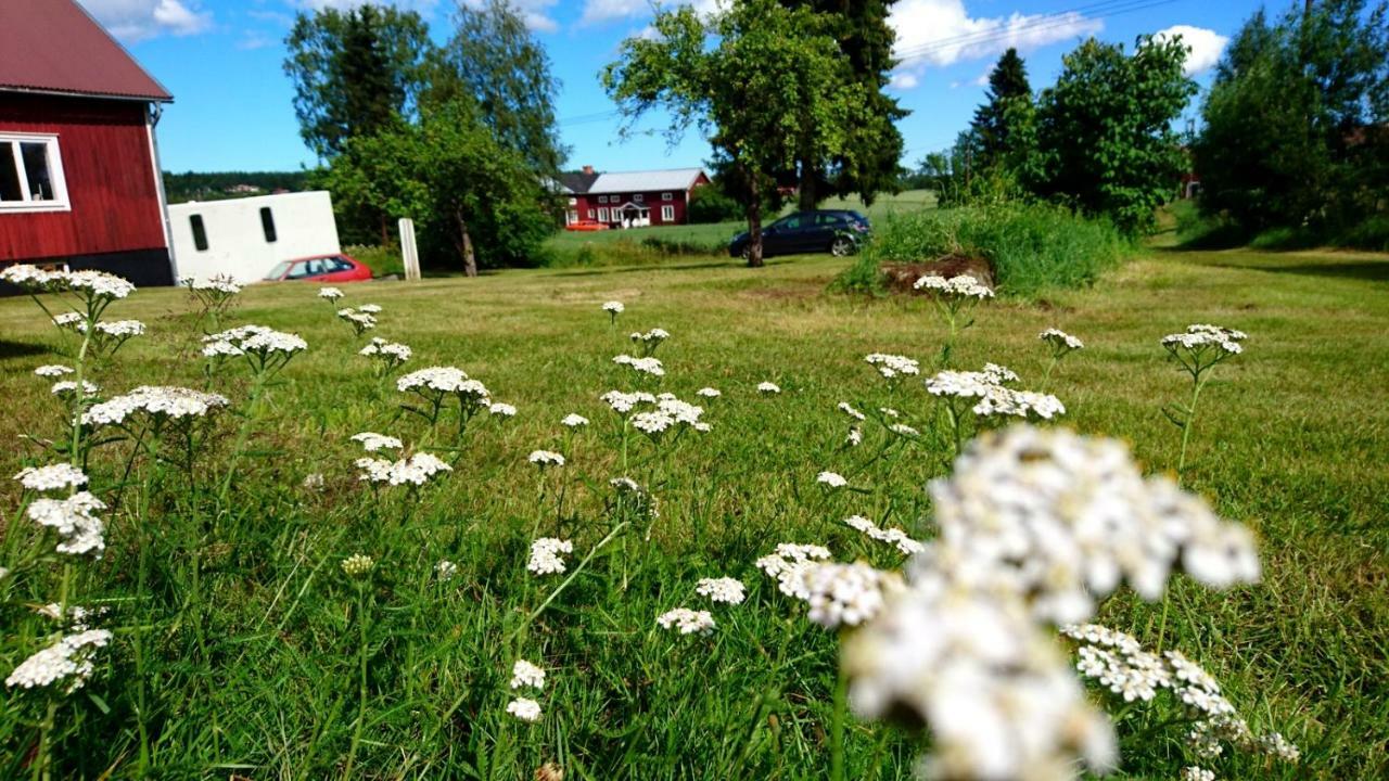 Ett Hus Med 3 Sovrum Med Supersnabba Internet Fiberanslutningen 1000Mb-100Mb I Hoeg, 7 Minuter Fran ฮูดิกสวัลล์ ภายนอก รูปภาพ